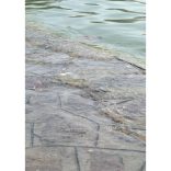 Balaton-part fotográfia falikép