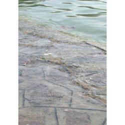 Balaton-part fotográfia falikép