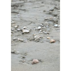 Duna-part fotográfia falikép