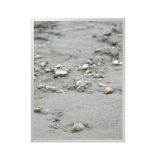Duna-part fotográfia falikép