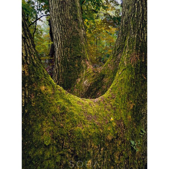 "Északi oldal" fotográfia falikép