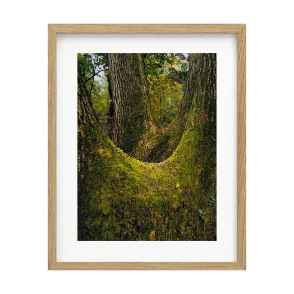 "Északi oldal" fotográfia falikép