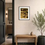 "Fényjáték" természet fotográfia falikép