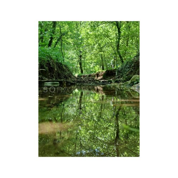Forest Reflections három darabos fotókollekció