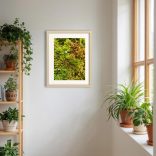 Kompakt tőzegmoha fotográfia falikép