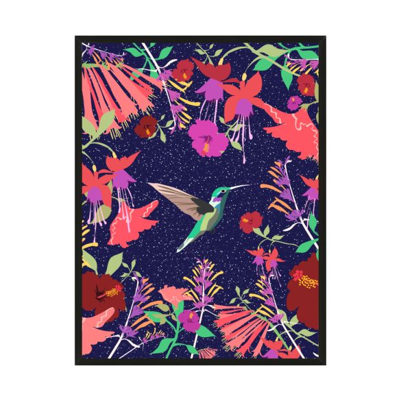 "Éjjeli kolibri" egyedi grafika nyomat falikép