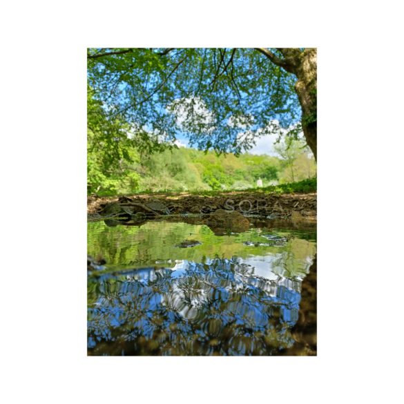 Peace and quiet