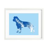 Amerikai staffordshire terrier terrier fotógrafika nyomat falikép