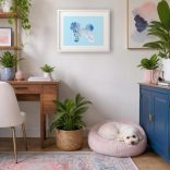 Havannai pincs fotógrafika nyomat falikép
