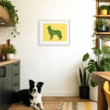 Border collie fotógrafika nyomat falikép