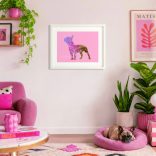 Francia bulldog fotógrafika nyomat falikép
