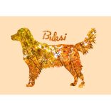 Golden retriever fotógrafika falikép saját névvel