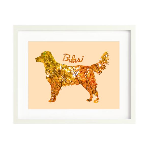 Golden retriever fotógrafika falikép saját névvel
