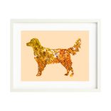 Golden retriever fotógrafika nyomat falikép