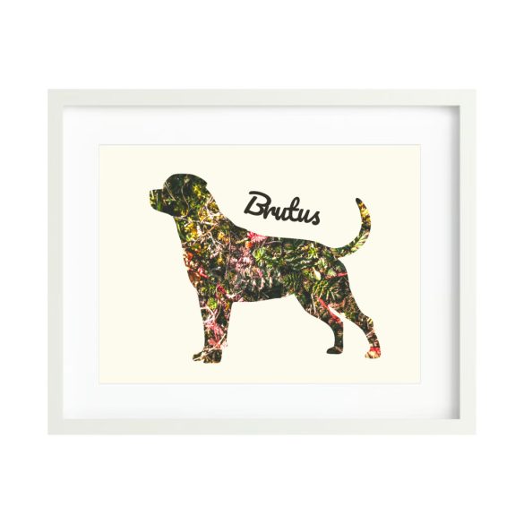 Rottweiler fotógrafika falikép saját névvel