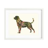 Rottweiler fotógrafika nyomat falikép