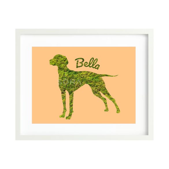 Magyar vizsla fotógrafika falikép saját névvel
