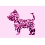 Yorkshire terrier fotógrafika nyomat falikép
