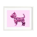 Yorkshire terrier fotógrafika nyomat falikép