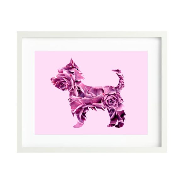 Yorkshire terrier fotógrafika nyomat falikép
