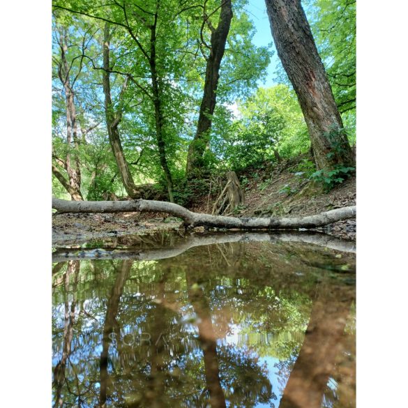 Hangvilla patak fotográfia falikép