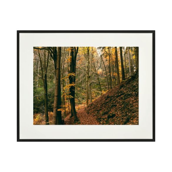 " Schwarzwald " őszi erdei fotográfia falikép