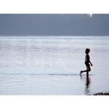 Séta a Dunában fotográfia falikép