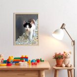 Trikolor kiscica fotográfia falikép